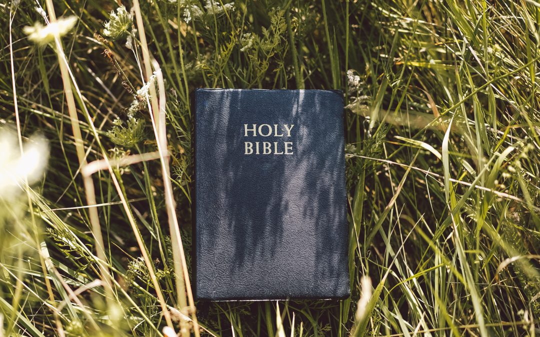 THE BIBLE AND THE MODERN INTELLECTUAL SKEPTICS: – IN DEFENSE OF THE BIBLE